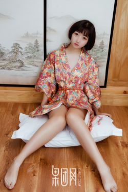 坏女婿强子